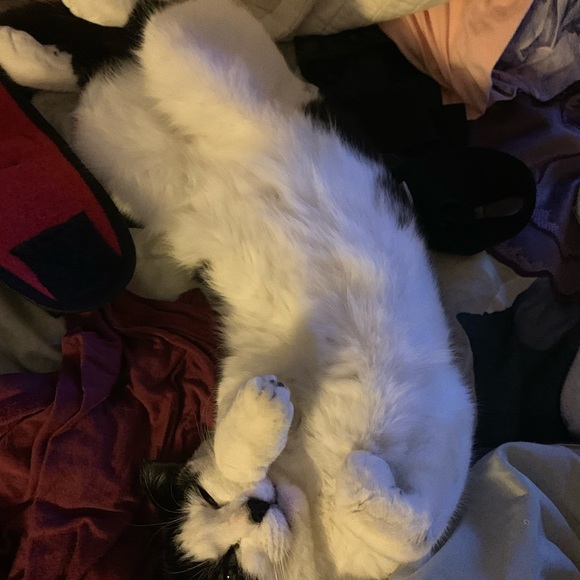 Meet your Posher, Heather - Picture 4 of 9